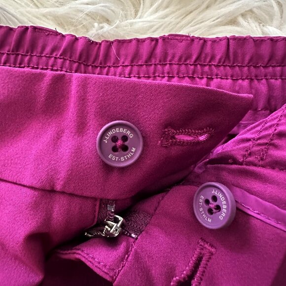 J. Lindeberg Stuart Men's 33x32 Side Stripe Golf Pant GMPA06876 Q266 Purple NEW - Picture 10 of 12